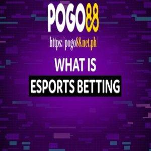 esports betting pogo8 avatar