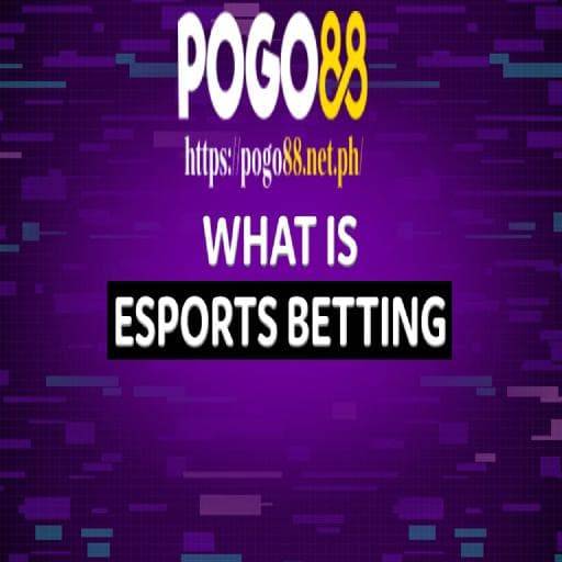 esports betting pogo8 avatar